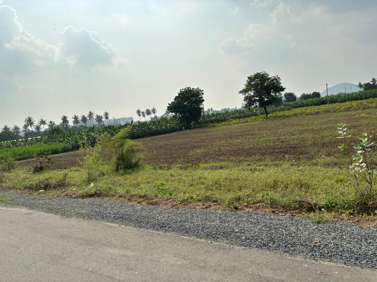 Commercial Land In Palakaluru Road Guntur Commercial Plots For Sale In