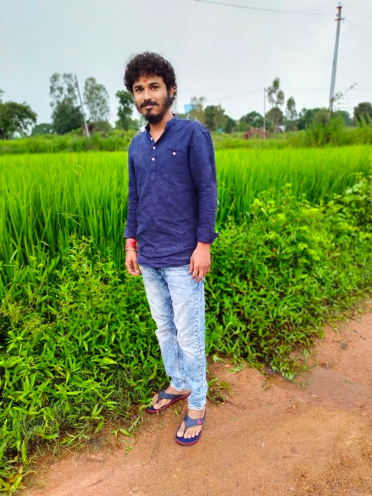 cover photo