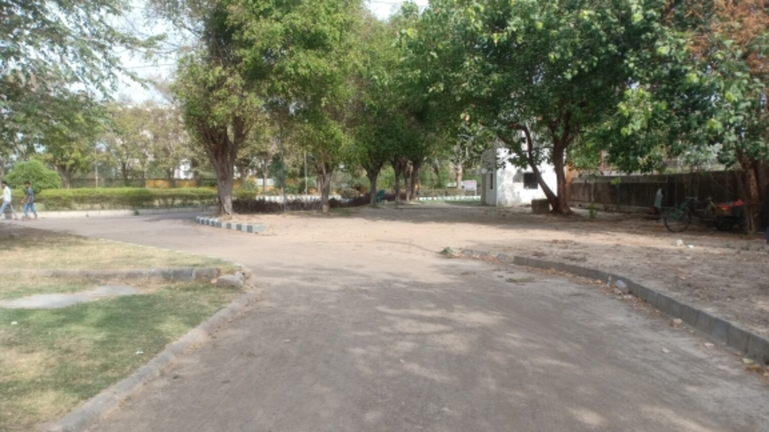 cover photo