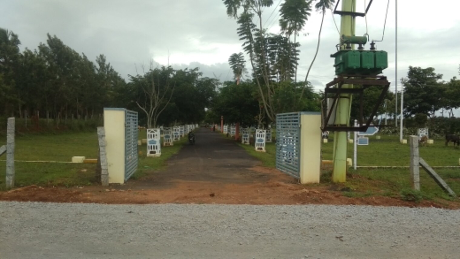 cover photo