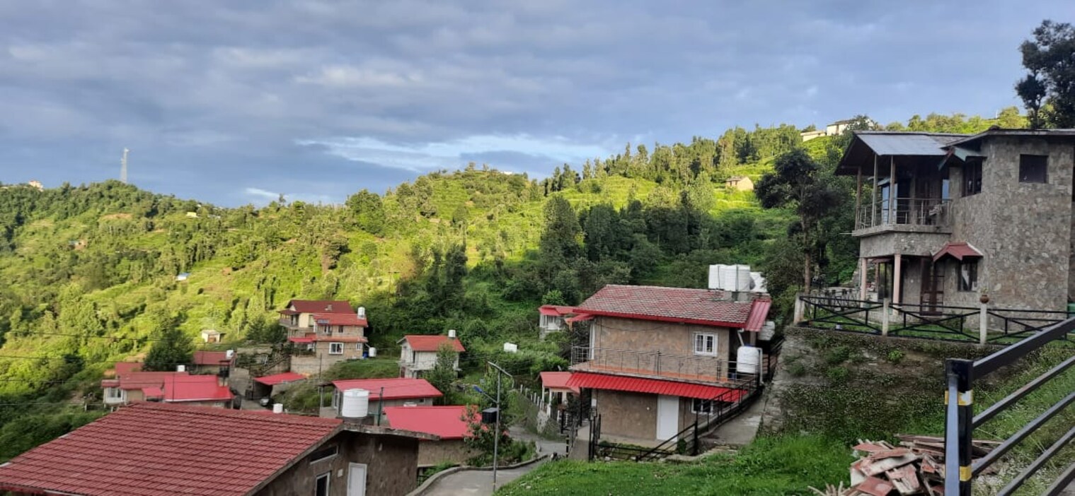 cover photo