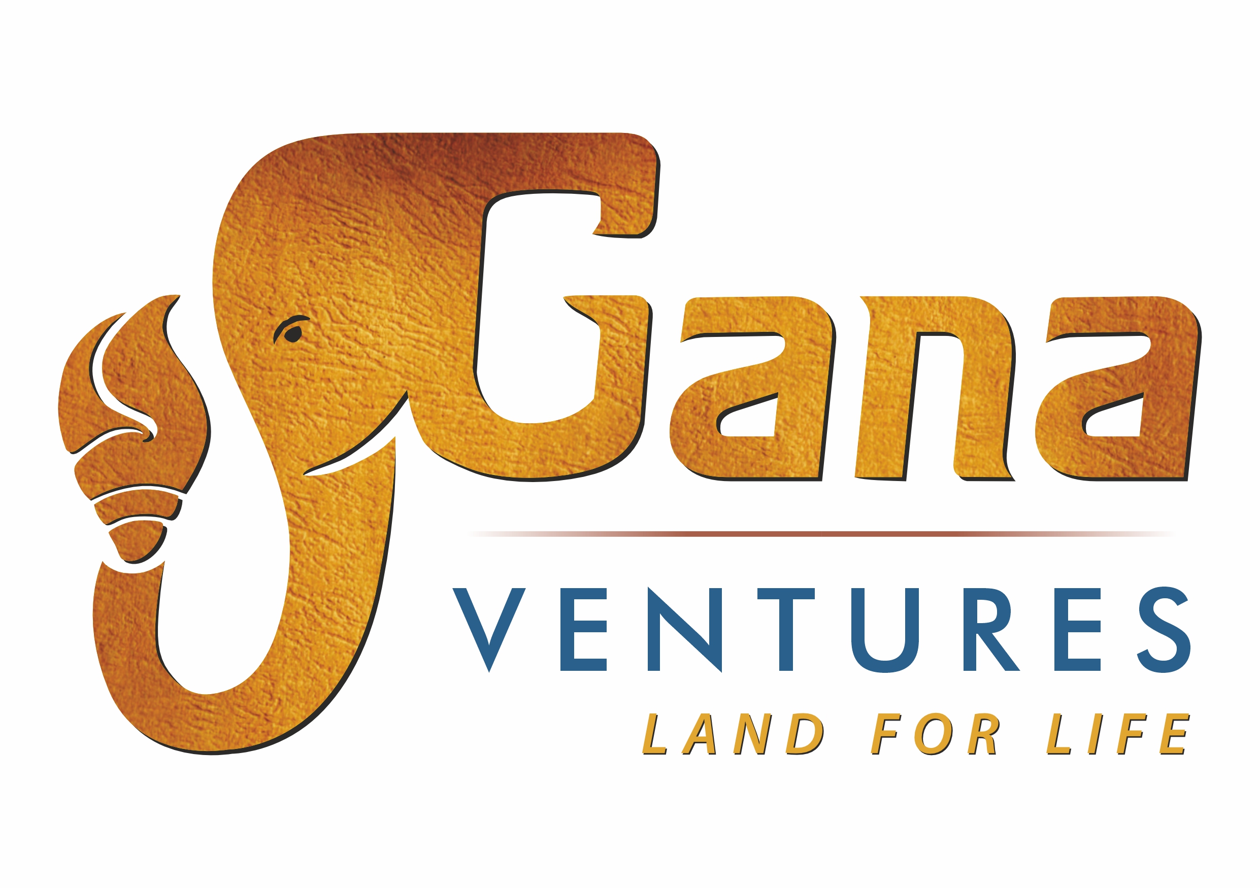 Gana ventures 
