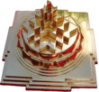 Pushpendra Indore, Madhya Pradesh 