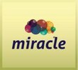 Miracle Realty Bangalore, Karnataka 