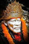 Shree Sai Consultancy