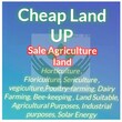 Cheap Land Uttar Pradesh Bareilly, Uttar Pradesh 