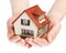 Ankit Sharma Broker