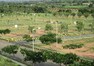 Ongole Ventures