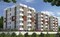 Wealth Associates Naseema