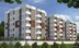 Wealth Associates Naseema