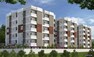 Wealth Associates Naseema