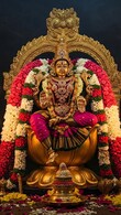 M Karthikeyan Chennai, Tamil Nadu 