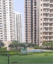 Debvrat Chaturvedi Noida, Uttar Pradesh 