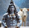 Rajesh Mer