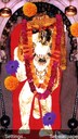Shri Balaji Enterprises