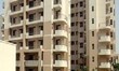 Dev Yaduvanshi Gurgaon, Haryana 