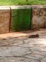 Pallemoni Ashok