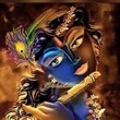 Vijay Singh Lucknow, Uttar Pradesh 