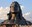 PRIYA  profile picture