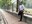 Nikhil Rane  profile picture