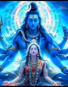 Amit  profile picture