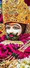 Prince Tiwari