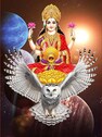 New Laxmi Properties