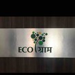 Ecogram Recidency Pune, Maharashtra 