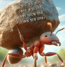 Avijit Chakraborty