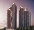 Singh Property Greater Noida, Uttar Pradesh 