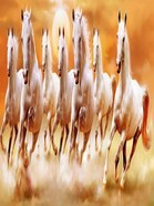 Shashank Singh profile picture