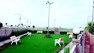 Ssv Infra And Housing Pvt Ltd