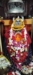 Pankaj Lucknow, Uttar Pradesh 