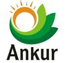 Ankur Kumar Vishwakarma