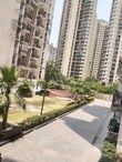 Rent Property Noida, Uttar Pradesh 
