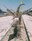 Raj singh  profile picture
