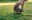 Manish Harit  profile picture