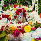 Nayak profile picture