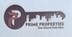 Prime Properties