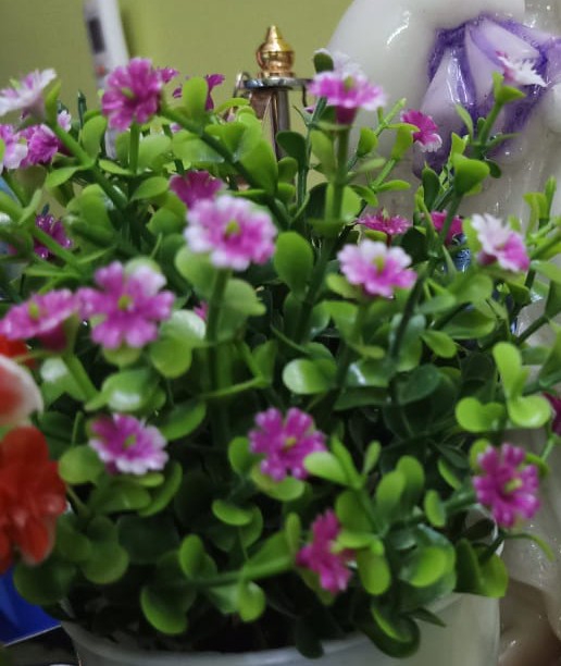 K Prabhakar 