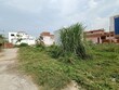 Shashi Sharma Haridwar, Uttarakhand 