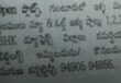 Capital Rental Service Guntur, Andhra Pradesh 