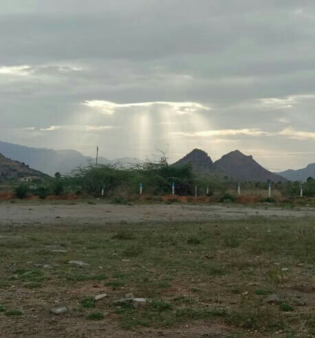 David L Tirunelveli, Tamil Nadu 