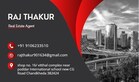 Raj Thakur profile picture