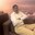Sushil kumar khandelwal  profile picture