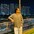 Priyanshu Chand 