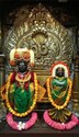 Arvind Krishna Shetty