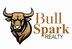 Bull Spark Realty