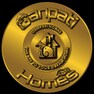 Mahesh Anand