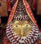 eshu aggarwal profile picture